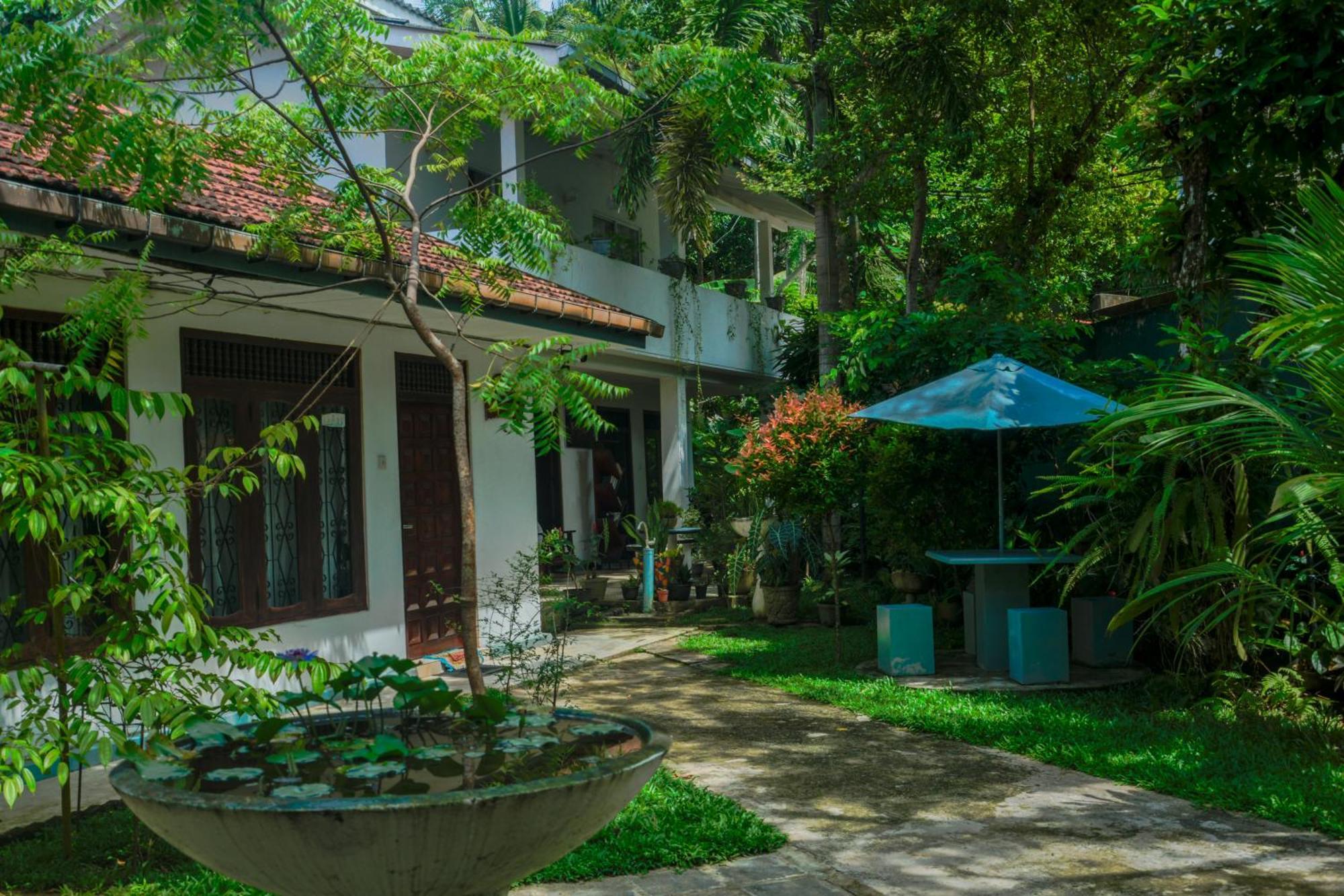 Palm Garden Guest House Galle Kültér fotó