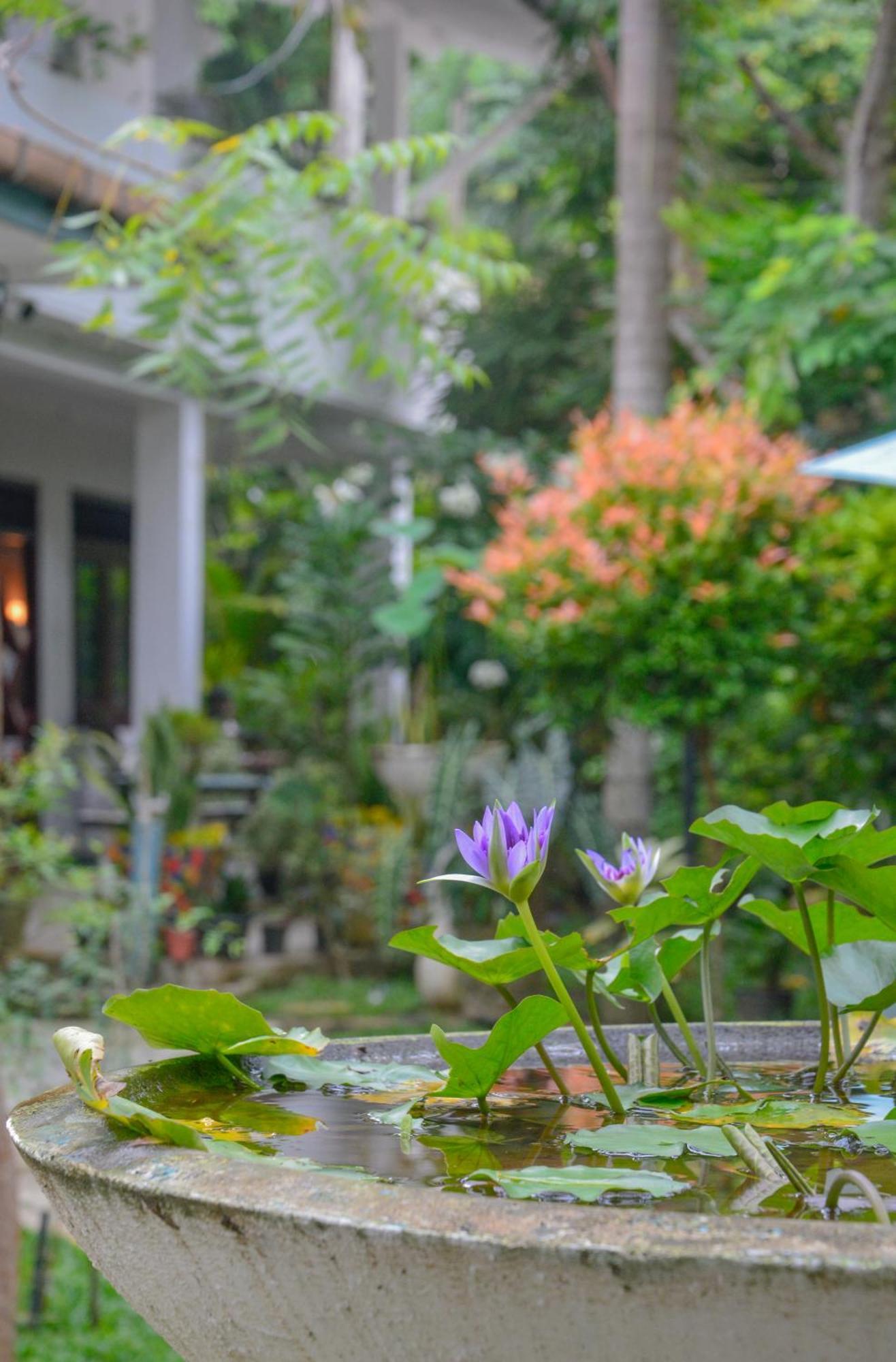 Palm Garden Guest House Galle Kültér fotó