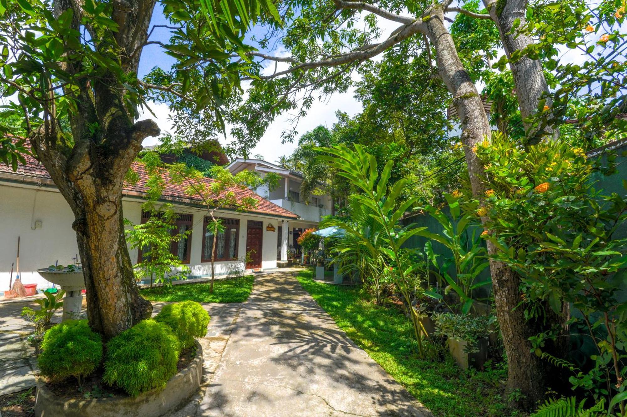 Palm Garden Guest House Galle Kültér fotó