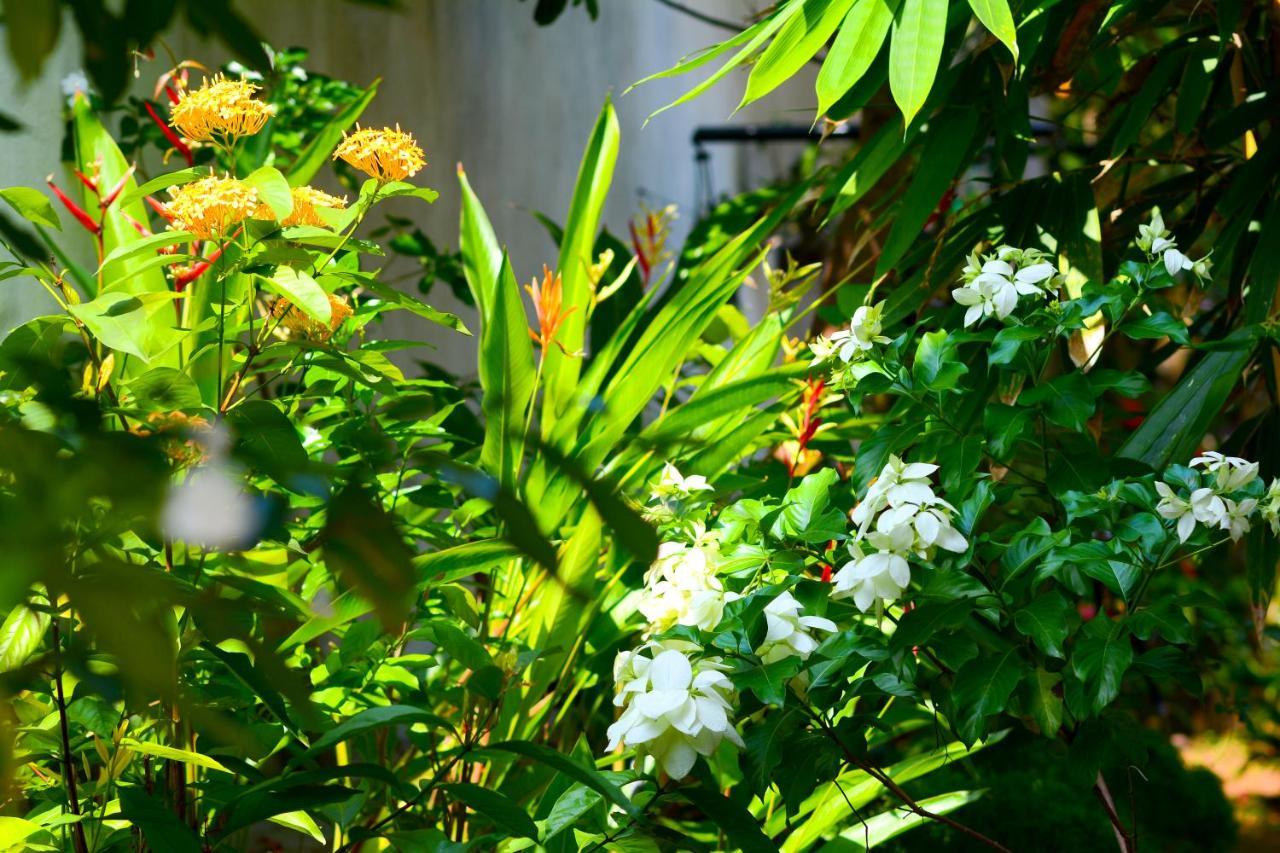 Palm Garden Guest House Galle Kültér fotó